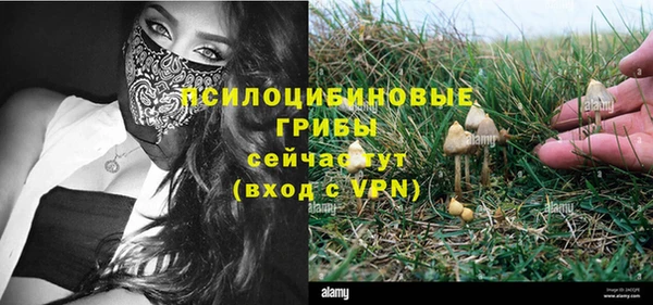 apvp Остров