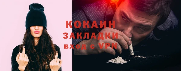 шишки Осташков