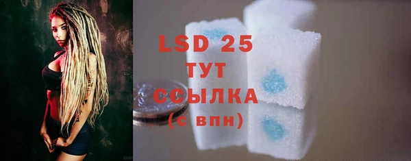 мдпв Билибино