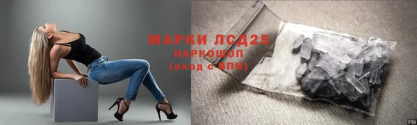 шишки Осташков