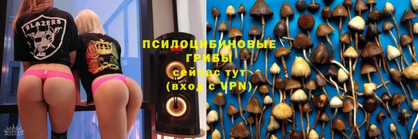 твердый Болохово