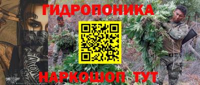 шишки Бийск