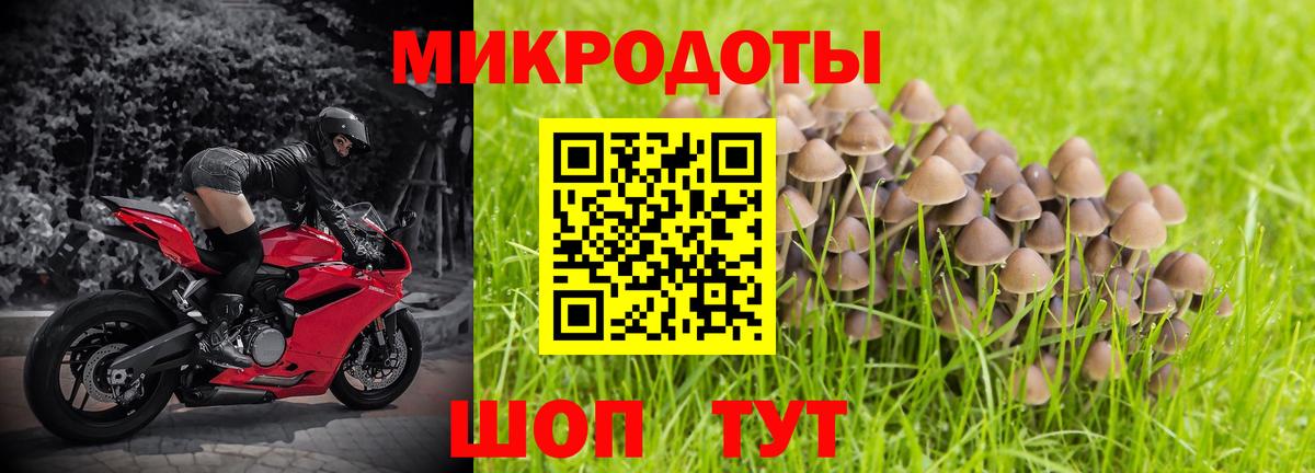 Псилоцибиновые грибы Magic Shrooms Зима