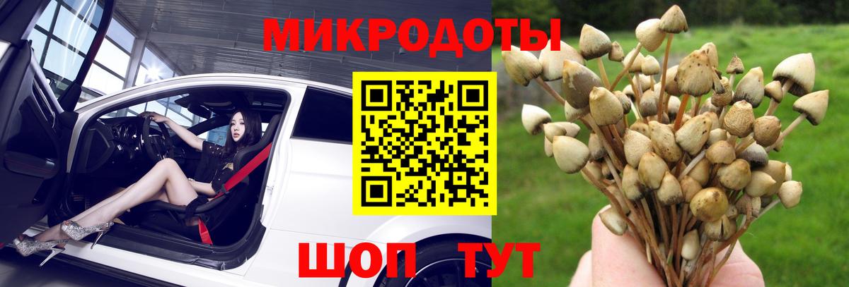 Галлюциногенные грибы ЛСД  Вход с VPN  где найти   Зима 