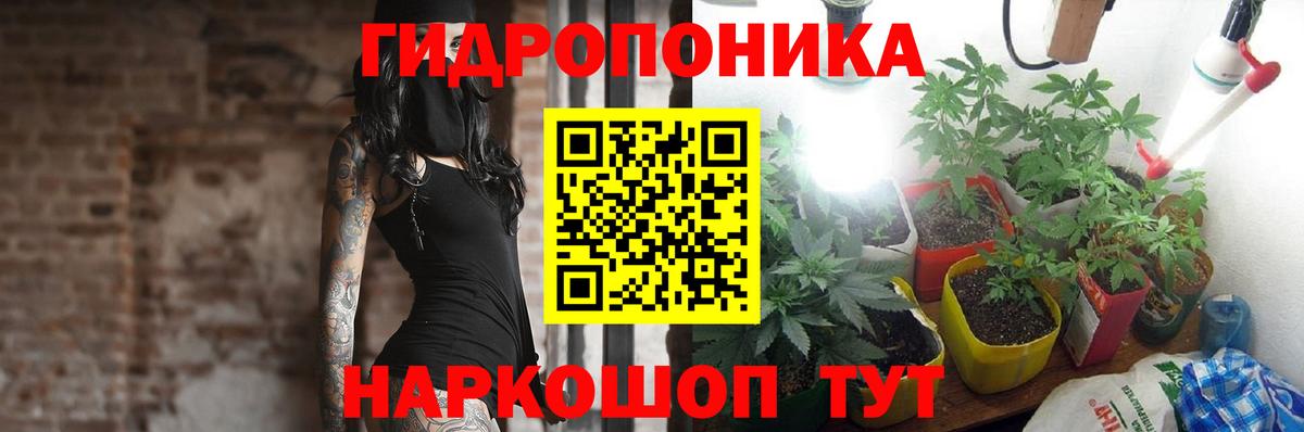 МАРИХУАНА VHQ  Конопля SATIVA & INDICA  Зима 